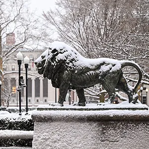 Columbia University Scholar Lion, Morningside campus